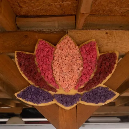 Кемпинг каравана Lotus- гардения *